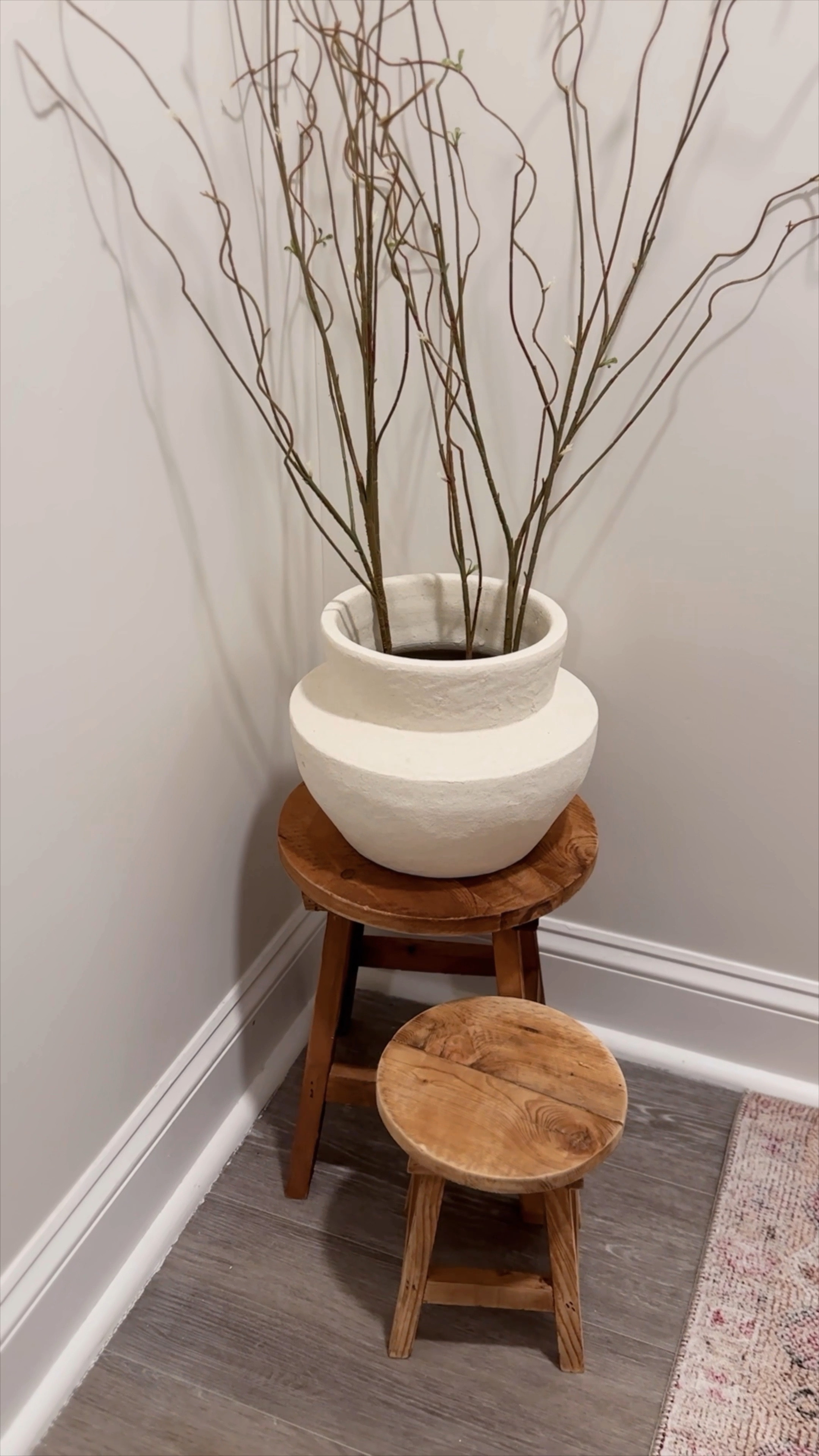 west elm planter 

#LTKfindsunder100 #LTKhome