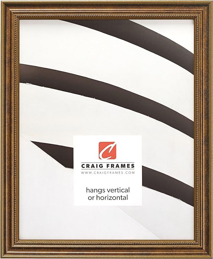 Craig Frames 314BR, Ornate Bronze Picture Frame, 11 x 14 Inch | Amazon (US)