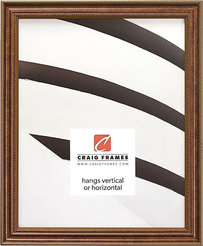 Craig Frames 314BR, Ornate Bronze Picture Frame, 11 x 14 Inch | Amazon (US)