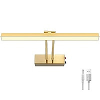 KANESIKI Wireless Picture Light Battery Operated, Rechargeable Painting Light, Super Bright Display  | Amazon (US)