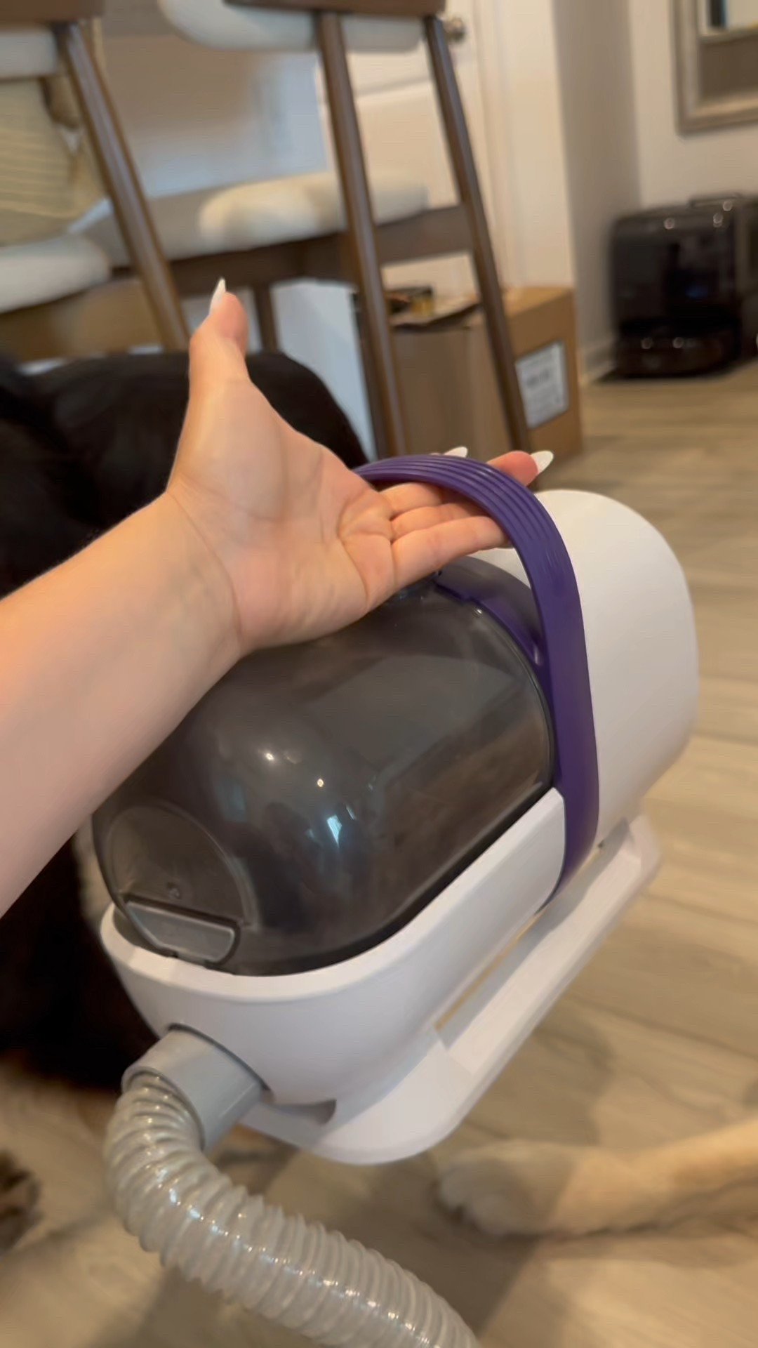 Si tienes perros necesitas esto🤩😩

#LTKPets #LTKSaleAlert