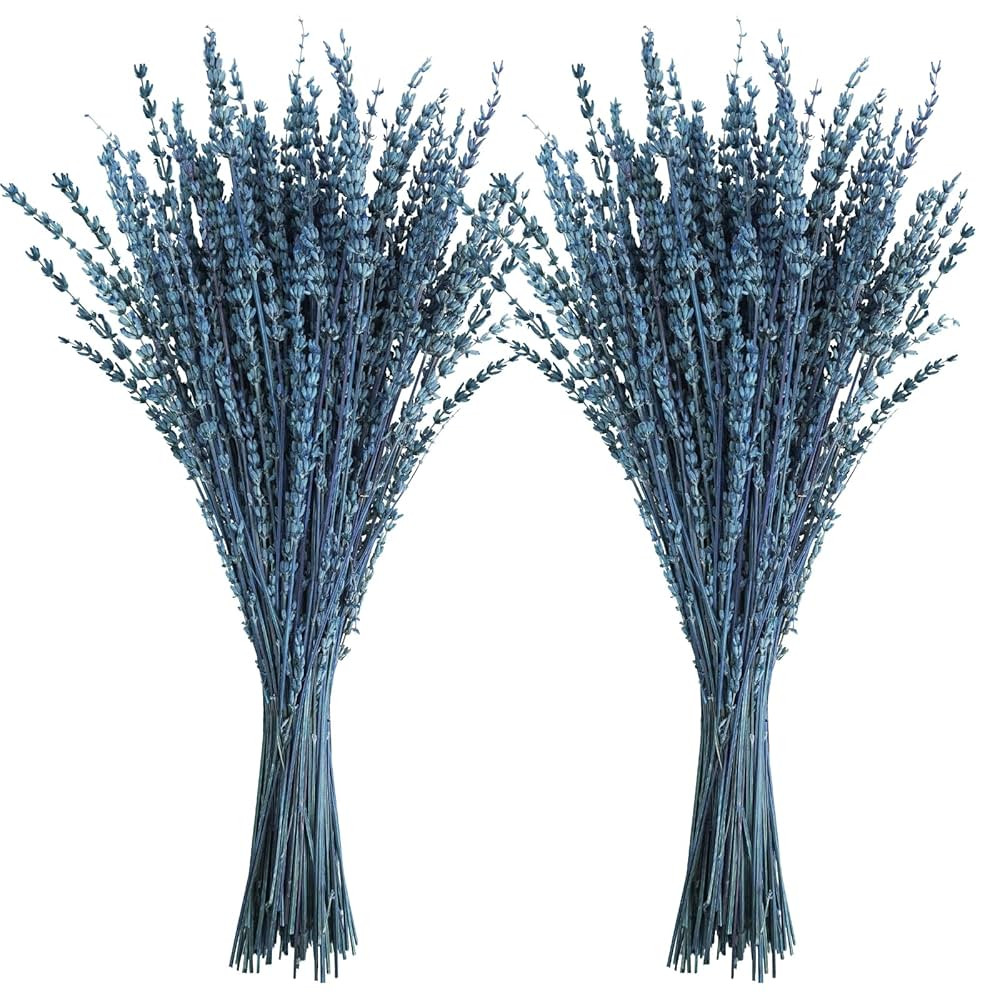 Uieke Dried Lavender Flowers, 16" Preserved Dried Lavender Bundles Blue Flowers Stems Bouquet for... | Amazon (US)