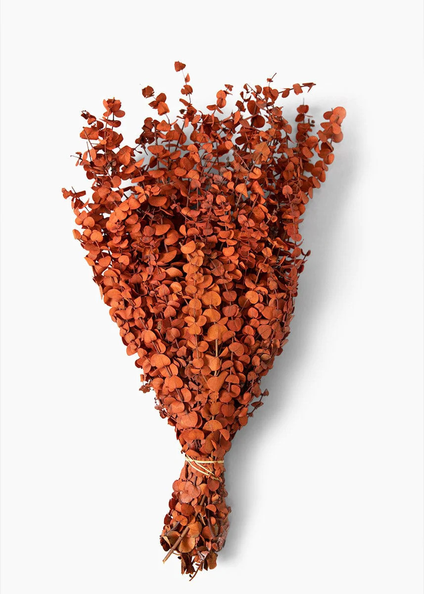 Orange Preserved Eucalyptus | Natural Florals for Fall | Afloral.com | Afloral