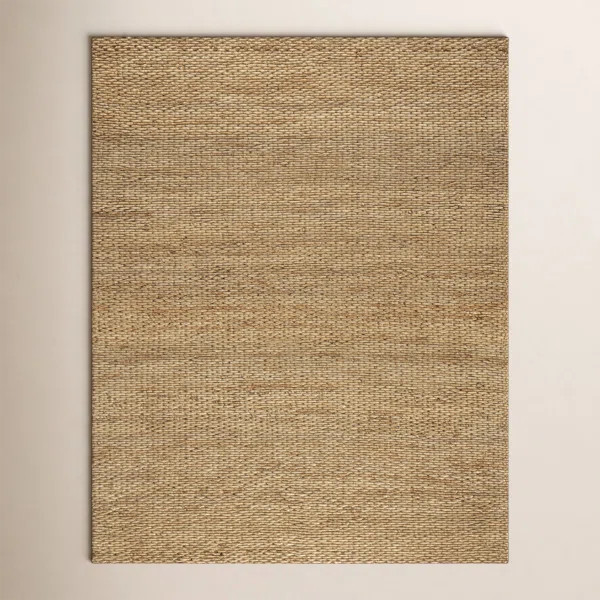 Indoor Rug | Wayfair North America