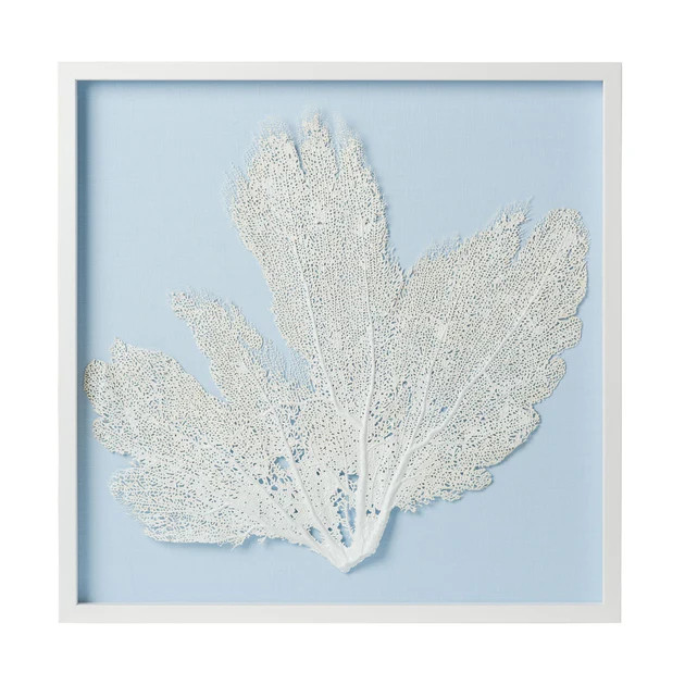 Sea Fan Framed Art - White on Light Blue | Cailini Coastal