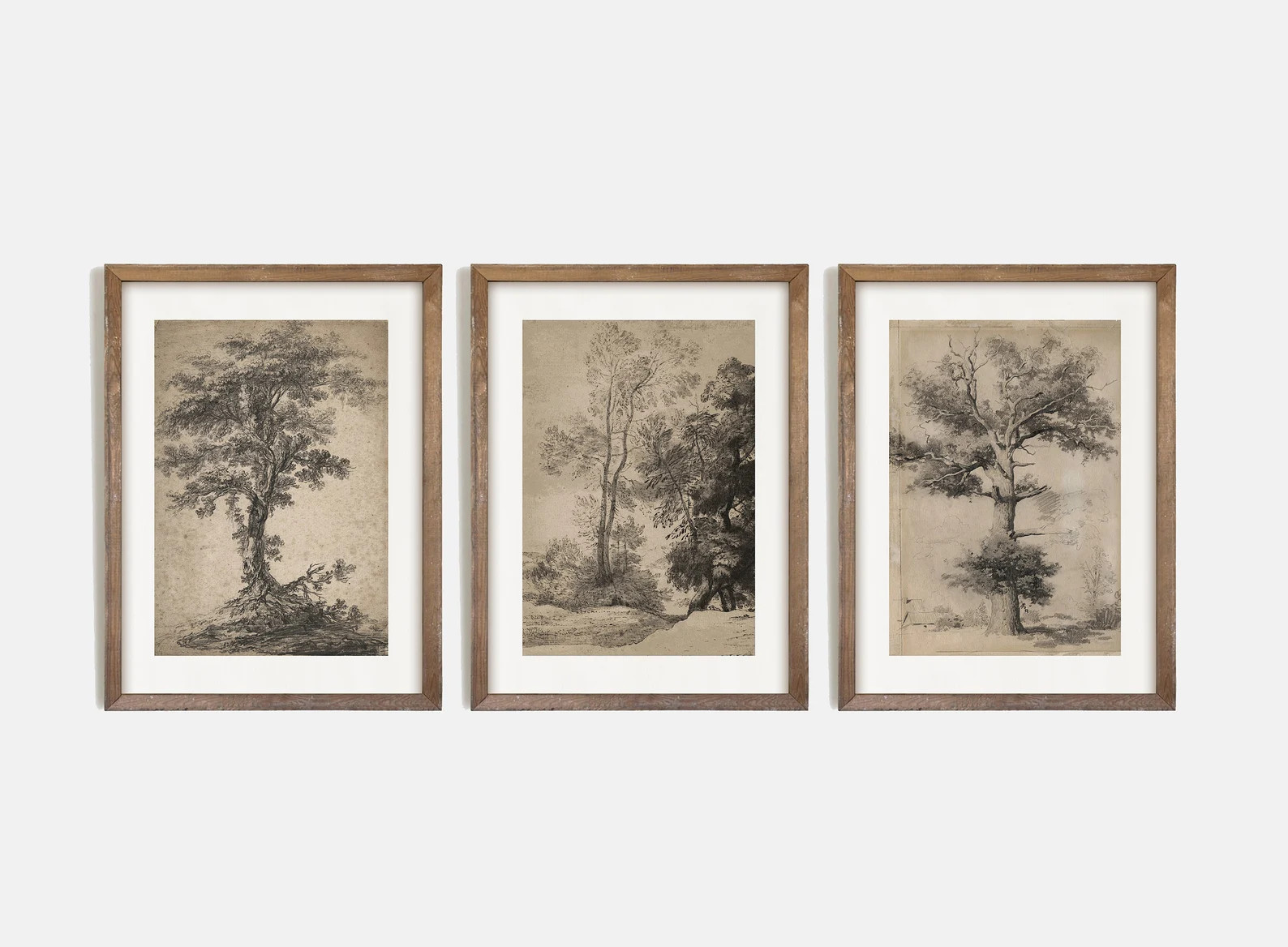 Gallery Wall Art Set of 3, Vintage Tree Sketch, Antique Tree Drawings, Botanical Art, Nature Sket... | Etsy (US)