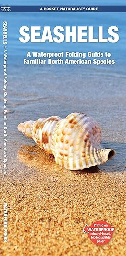 Seashells, 2nd Ed: A Folding Pocket Guide to Familiar North American Species (Nature Observation ... | Amazon (US)