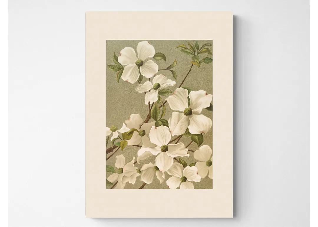 Vintage Dogwood Botanical Print: French Country Cottagecore Art (digital Print File) - Etsy | Etsy (US)
