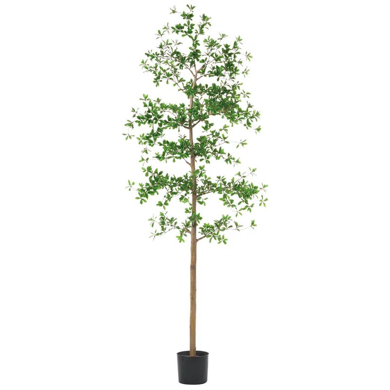 CFA Design Group Artificial Shady Lady Tree | Wayfair | Wayfair North America
