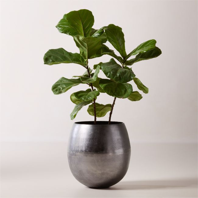 Rough Cast Black Aluminum Indoor Planter Large from CB2