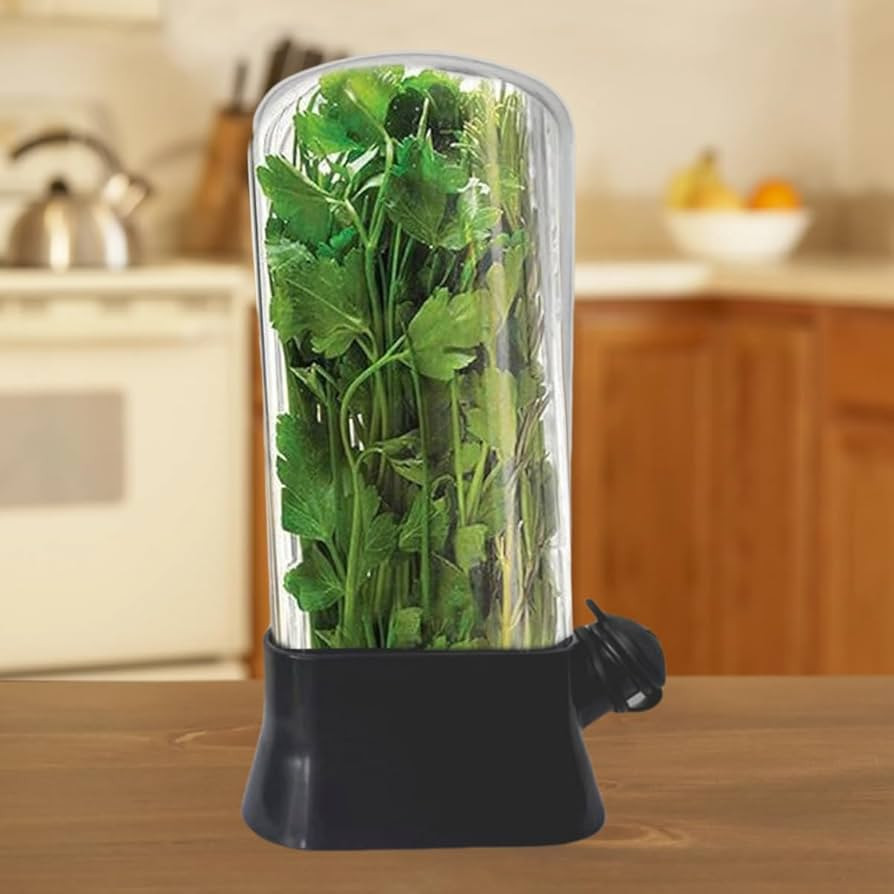 Amazon.com: Herb Saver Container BPA-Free Vegetable and Herb Fresh-Keeping Cup with Water Reservo... | Amazon (US)