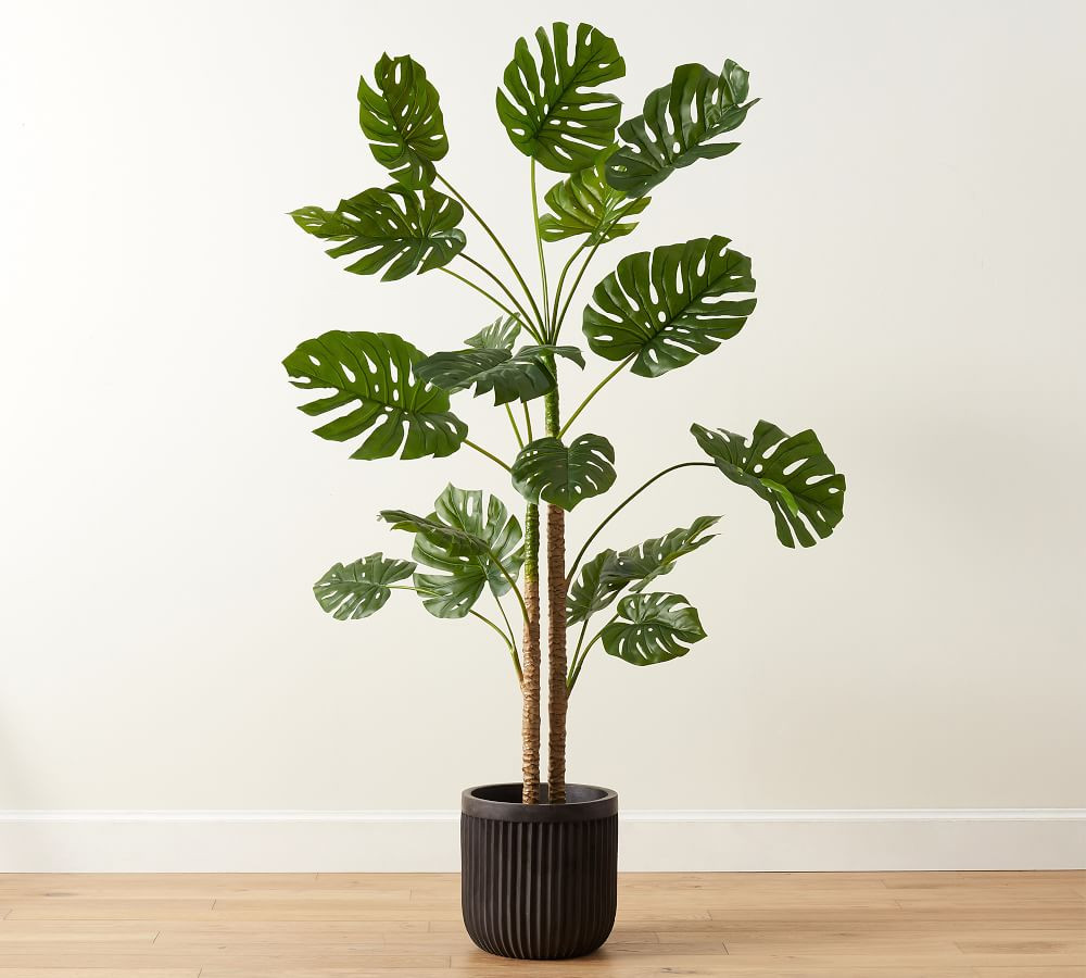 Faux Monstera Tree - 7.25' | Pottery Barn (US)