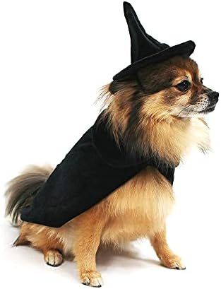 Midlee Halloween Witch Cape and Hat Dog Costume (Small) | Amazon (US)