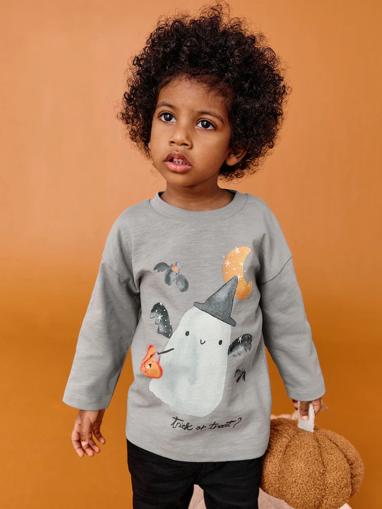 Buy Grey Ghost Halloween Long Sleeve Graphic Print T-Shirt (3mths-7yrs) from Next USA | Next US