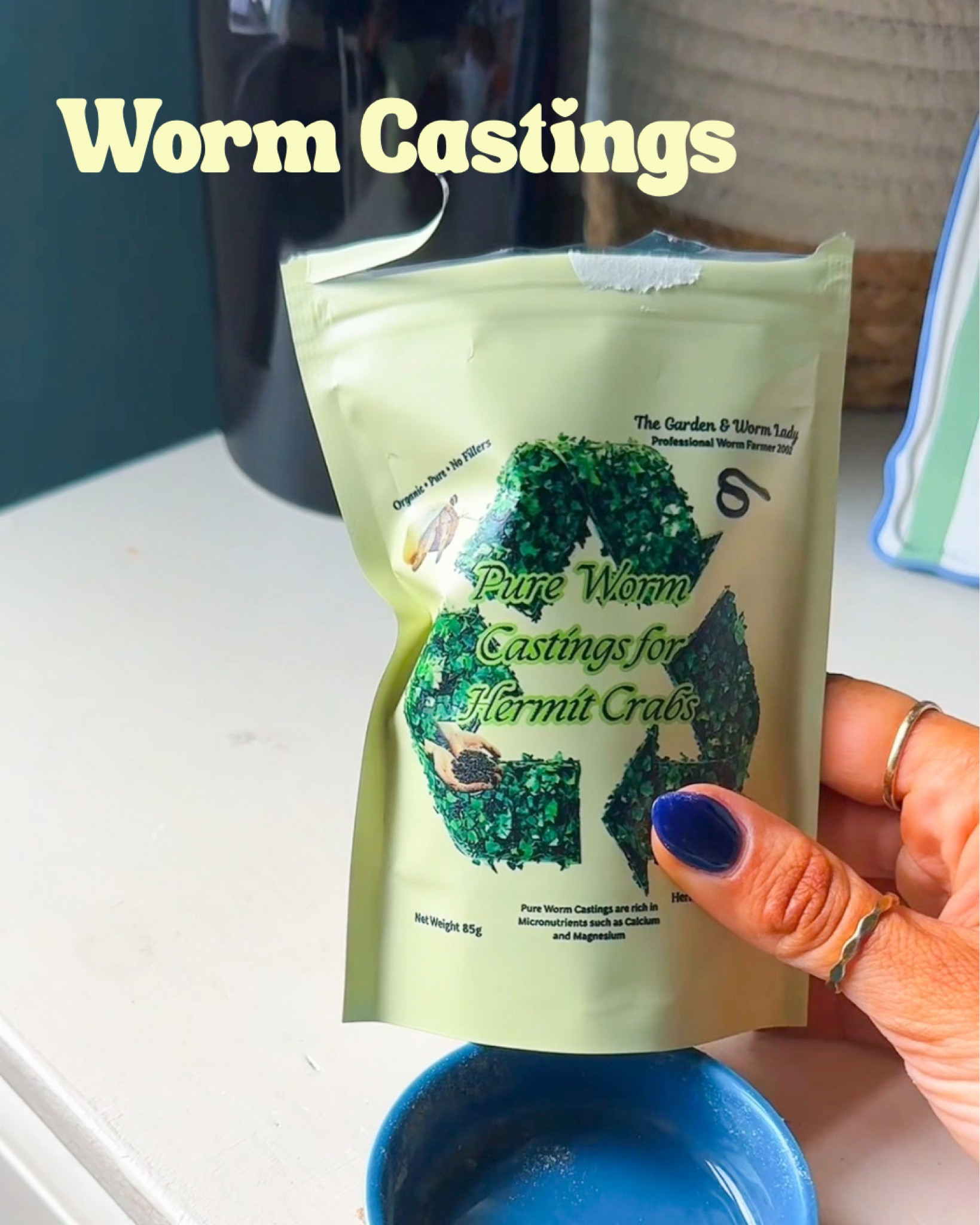 Hermit crab worm castings