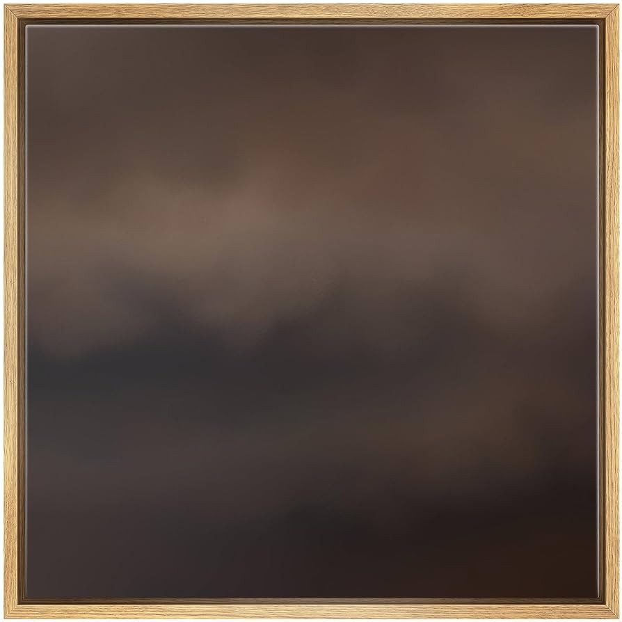 SIGNFORD Framed Canvas Print Wall Art Dark Moody Abstract Soft Brown and Black Cloudy Illustratio... | Amazon (US)