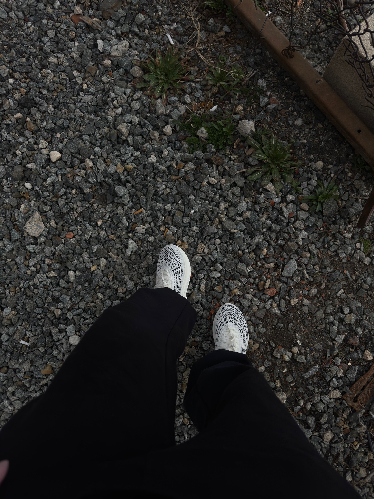 Cozy 