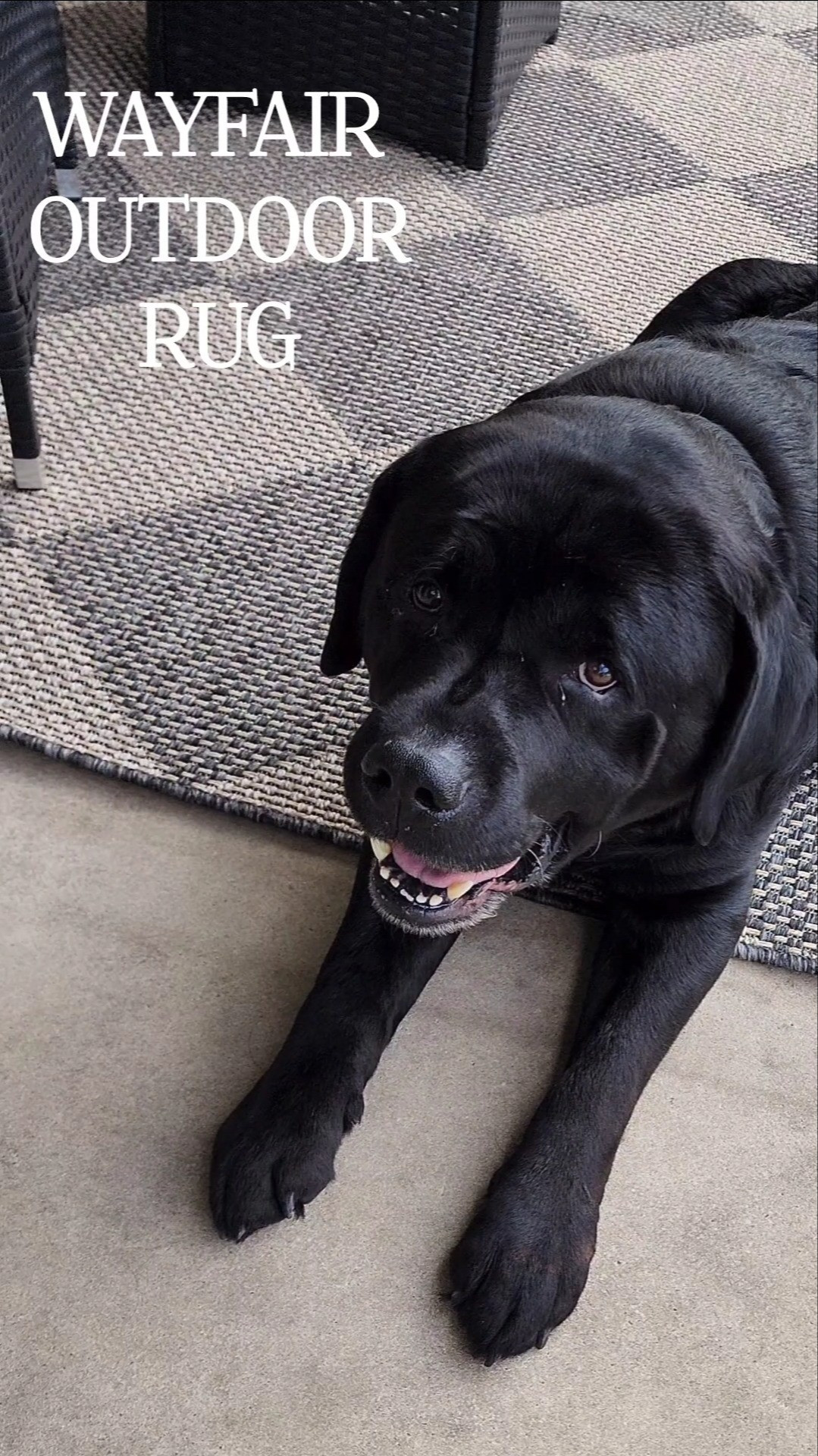 The most perfect neutral rug for your outdoor space! 🤍

#LTKSeasonal #LTKHome #LTKSaleAlert