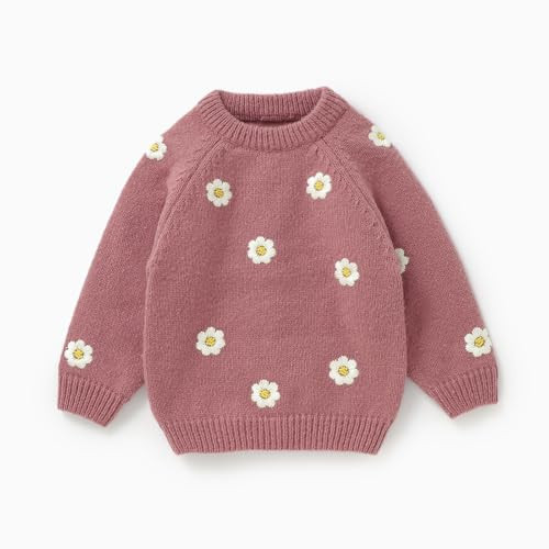 Tinypainter Toddler Girl Embroidered Knit Sweater Long Sleeve Pullover Sweatshirt Fall Winter Clothes Pink | Amazon (US)
