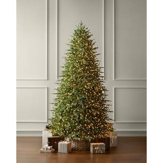 Trending9 ft SMART Grand Duchess Twinkling Balsam Fir LED Pre-Lit Tree T28 | The Home Depot