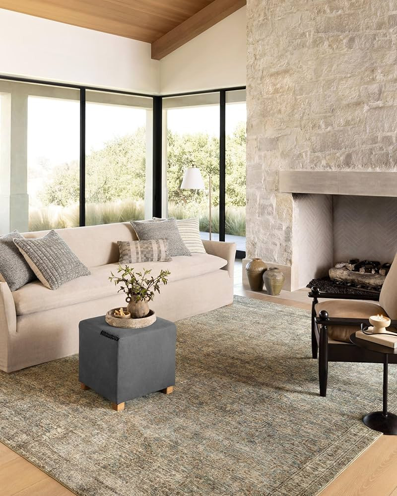 Loloi Amber Lewis Morgan Collection MOG-04 Sea/Sage 9'-6" x 13'-6" 38" Thick Area Rug feat. Cloud... | Amazon (US)