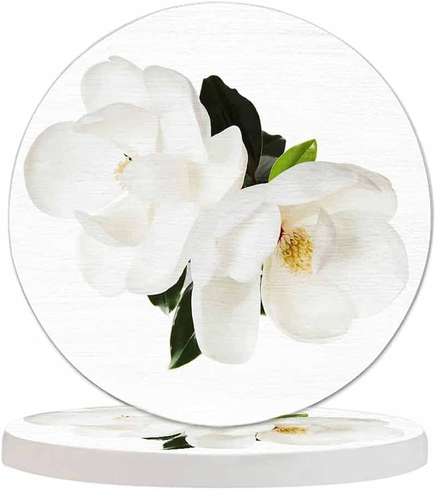 Pznen Magnolia Flower Coasters for Coffee Table White Floral Chaste Symbol Elegant Blossom Botani... | Amazon (US)