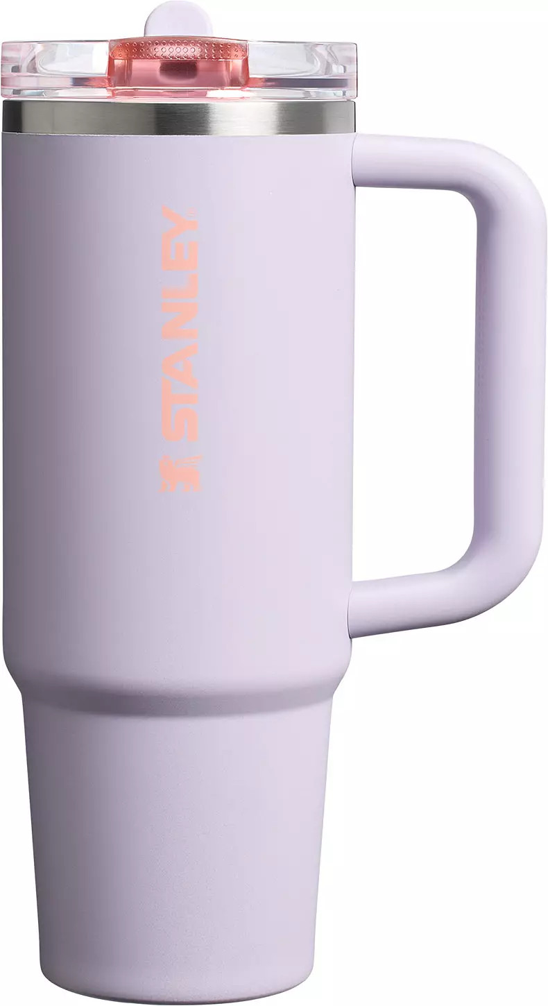 Stanley 30 oz. Quencher ProTour Flip Straw Tumbler | DICK'S Sporting Goods