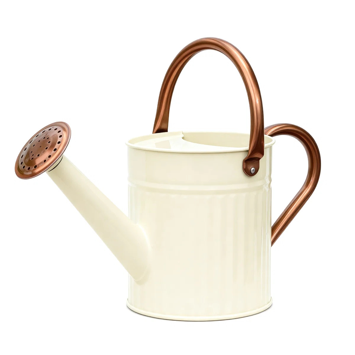 1/2 Gallon Stainless Steel Watering Can Removable Spout Embossed Design Indoor Outdoor Plants Hom... | Wayfair North America