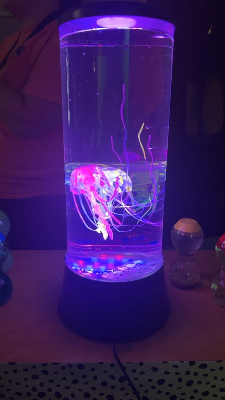 My coworkers got a light up jelly fish lamp and it is so calming! They are perfect for a class pet, calming corner, or your kids bedroom! 

The lamps are also on sale right now!!!

#LTKBacktoSchool #LTKSale #LTKunder50