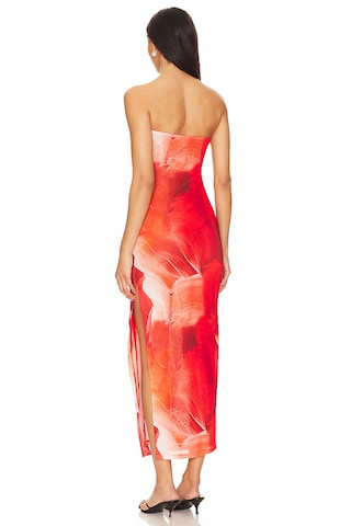 Jamila Maxi Dress in Red Multi | Revolve Clothing (Global)