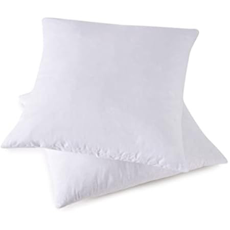 Acanva Decorative Throw Pillow Inserts for Sofa, Bed, Couch and Chair, Square Euro Sham Form Stuffer | Amazon (US)