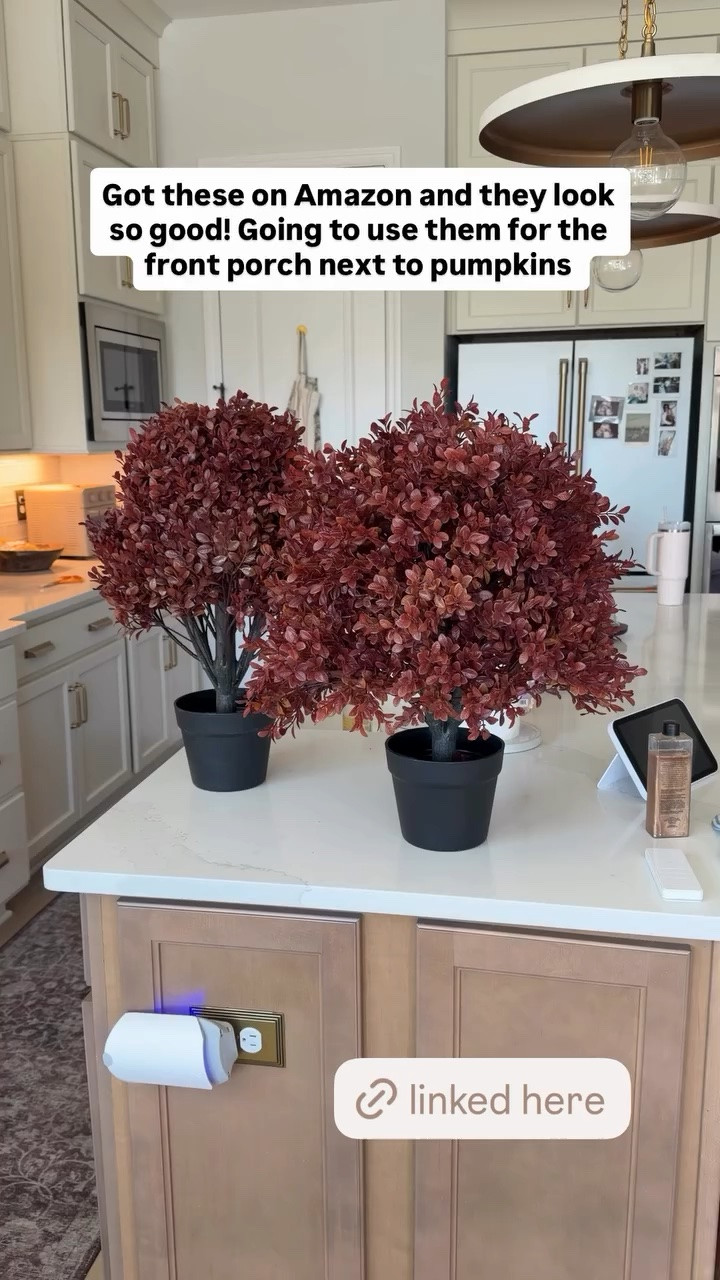 Got these faux plants on Amazon and they look so good! Going to use them for the front porch next to pumpkins. I got the red

#LTKHome