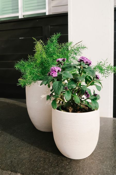 Creative Co-Op Planters from Amazon 



#LTKfindsunder100 #LTKhome #LTKSeasonal