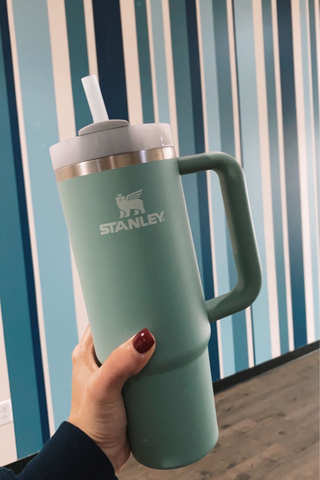 Viral Stanley cup!!

#LTKGiftGuide #LTKunder50 #LTKHoliday