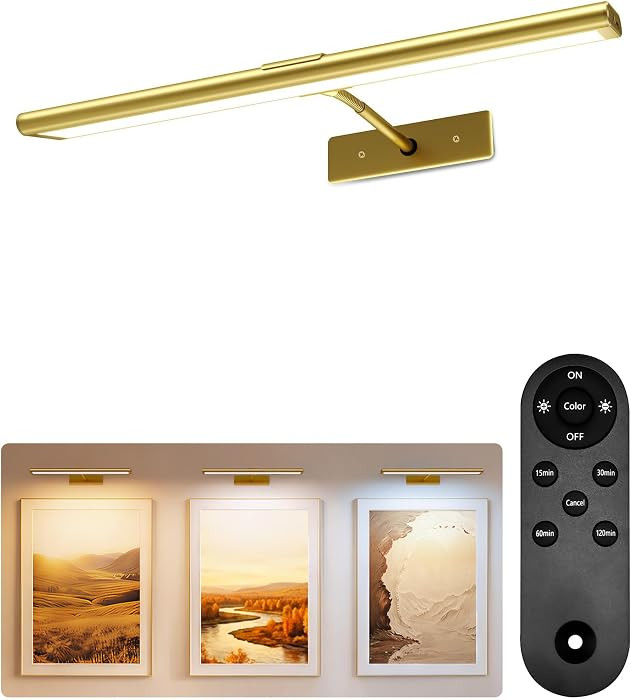 EZVALO Picture Light for Wall, 4800mAh Rechargeable Wireless Remote, 16\u2018\u2019 Dimmable Magn... | Amazon (US)