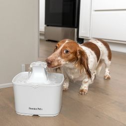 Premier Pet Automatic Water Fountain for Cats and Small Dogs - 60oz | Target