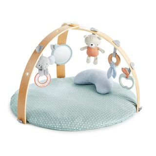 Ingenuity Cozy Spot Reversible Duvet Gym | Canadian Tire