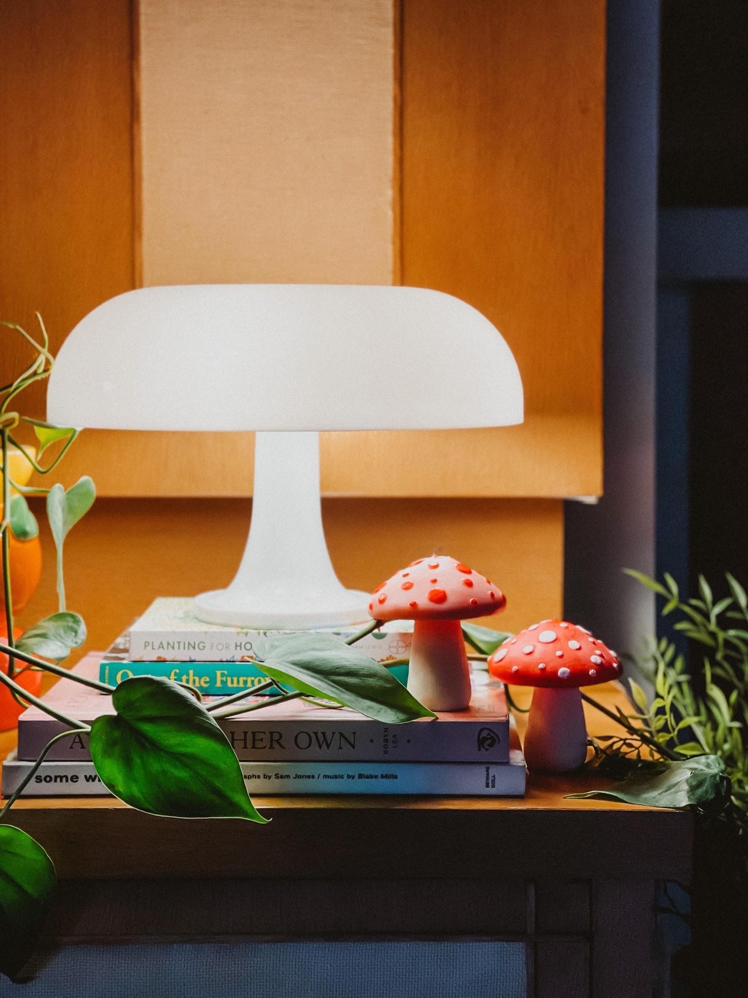 Mushroom cuties for light lovers 🍄

#LTKhome #LTKGiftGuide #LTKCyberWeek