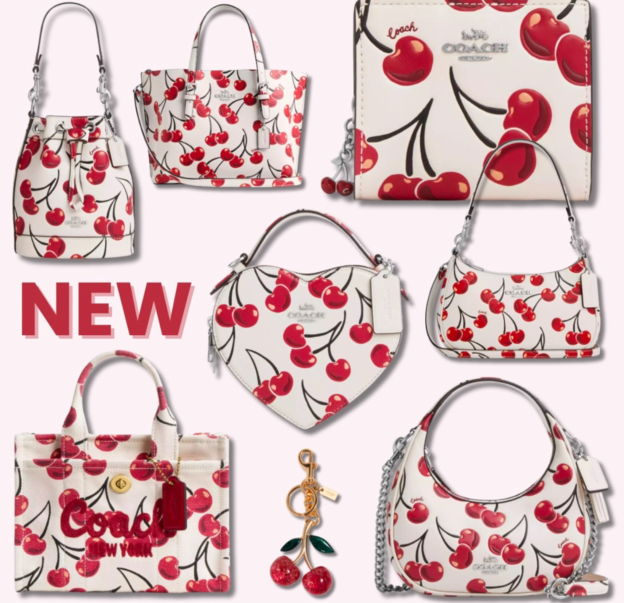 🍒Coach 🍒25

#LTKSeasonal #LTKItBag #LTKGiftGuide