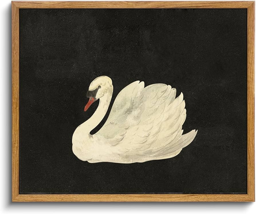 KBKBART Framed Canvas Wall Art for Living Room Bedroom Decor, Vintage Antique Swan Watercolor Canvas Painting, Rustic Bathroom Decor Wall Art, Classical Swan Vintage Wall Art(8"x10") | Amazon (US)