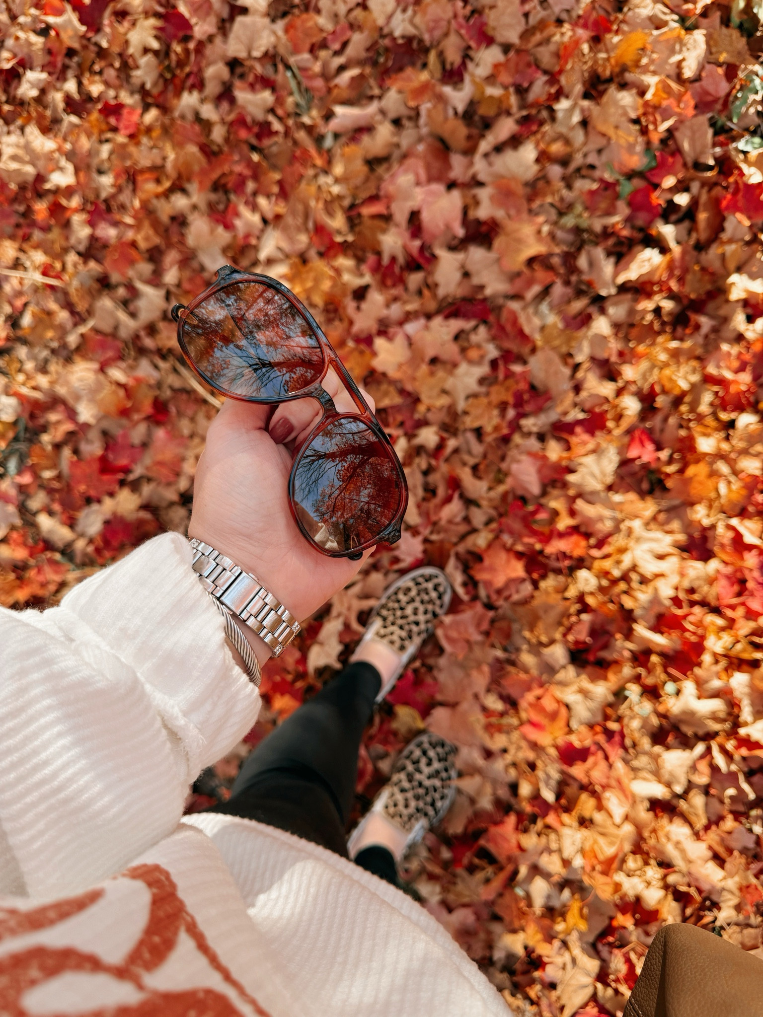 These sunnies are so cute🤍leggings | Amazon leggings | black leggings | leggings outfit  | sweatshirt | graphic sweatshirt | buckle sweatshirt | leopard print shoes | on the go outfits | casual outfit | casual look | amazon fashion | amazon finds | amazon look | amazon outfit | fall outfit | fall look | fall fashion | fall finds | fall outfit inspo | fall fashion inspo | fall 2024 | vans | vans style 

#LTKMidsize #LTKSeasonal #LTKStyleTip