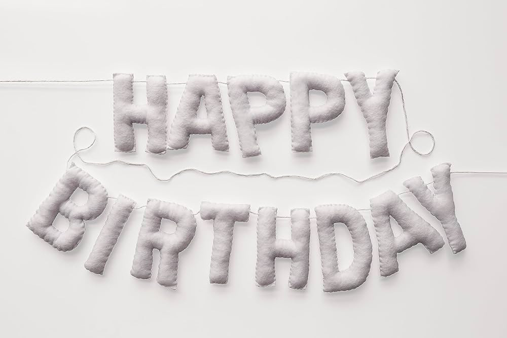 Happy Birthday Felt Fabric Banner | White Birthday Garland | Reusable Birthday Decoration | Elega... | Amazon (US)