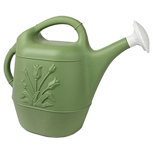 Union Products 63068 2 Gallon Plastic Indoor/Outdoor Watering Can w/ Tulip Design for Garden, Potted Plants, & Patio Pots, Sage Green | Amazon (US)
