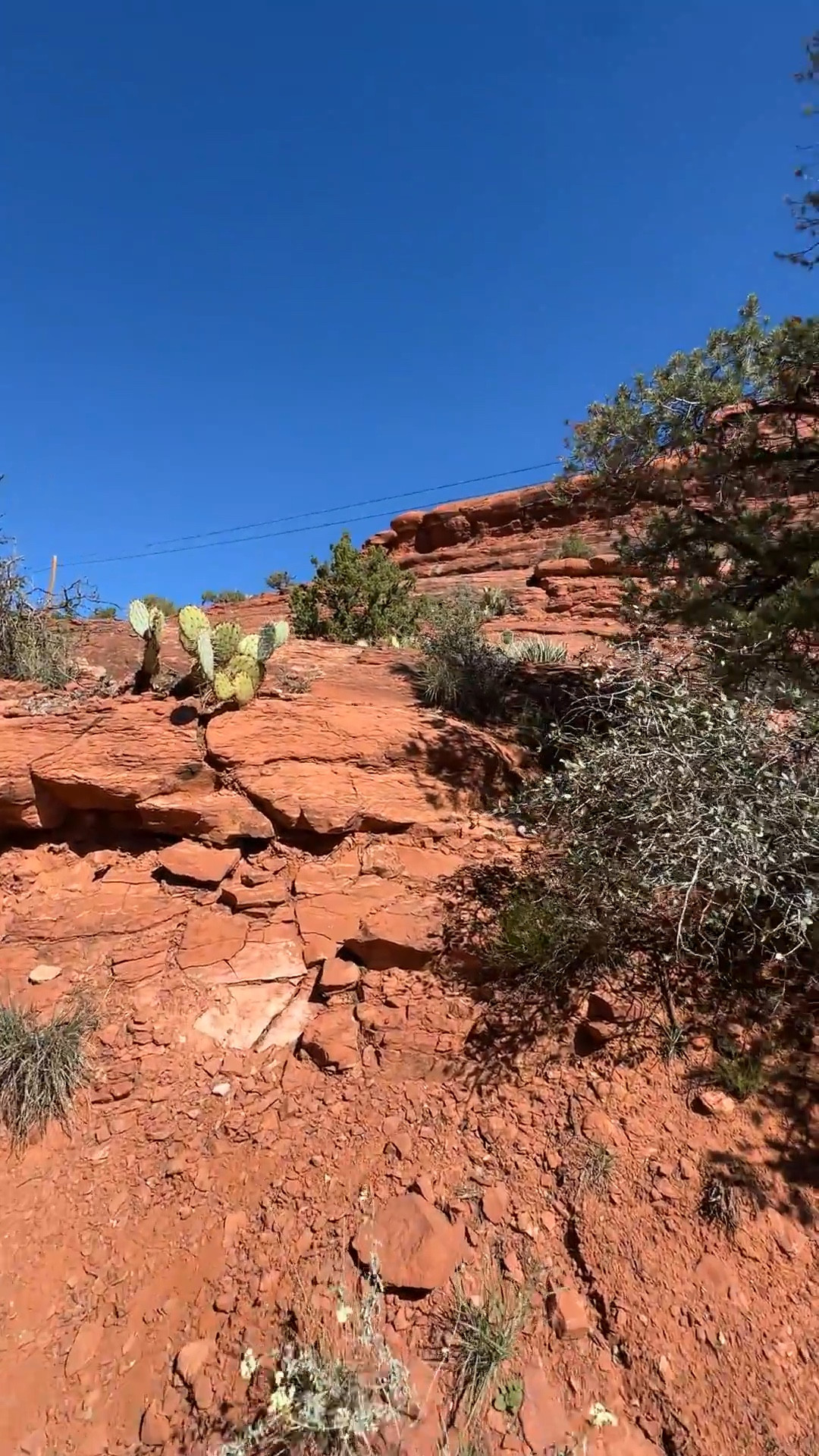 Get ready with me for my 3 mile run! @Zappos 

#LTKmorningroutine #LTKMothersDay #LTKselfcare