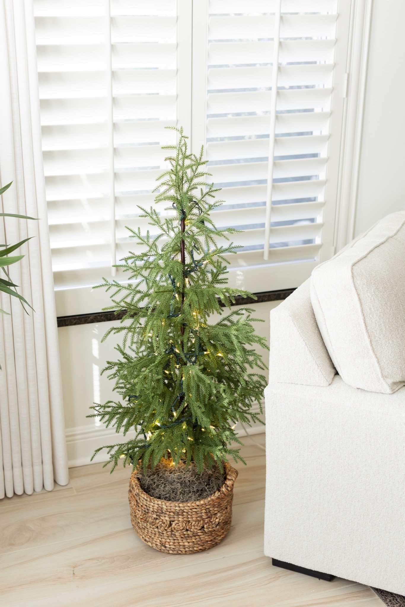 Small Christmas tree find!

#LTKSeasonal #LTKHoliday #LTKHome