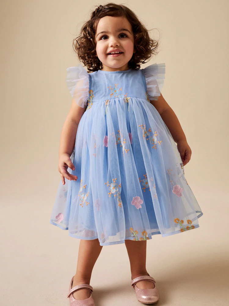 Blue Embroidered Mesh Dress (3mths-7yrs) | Next US