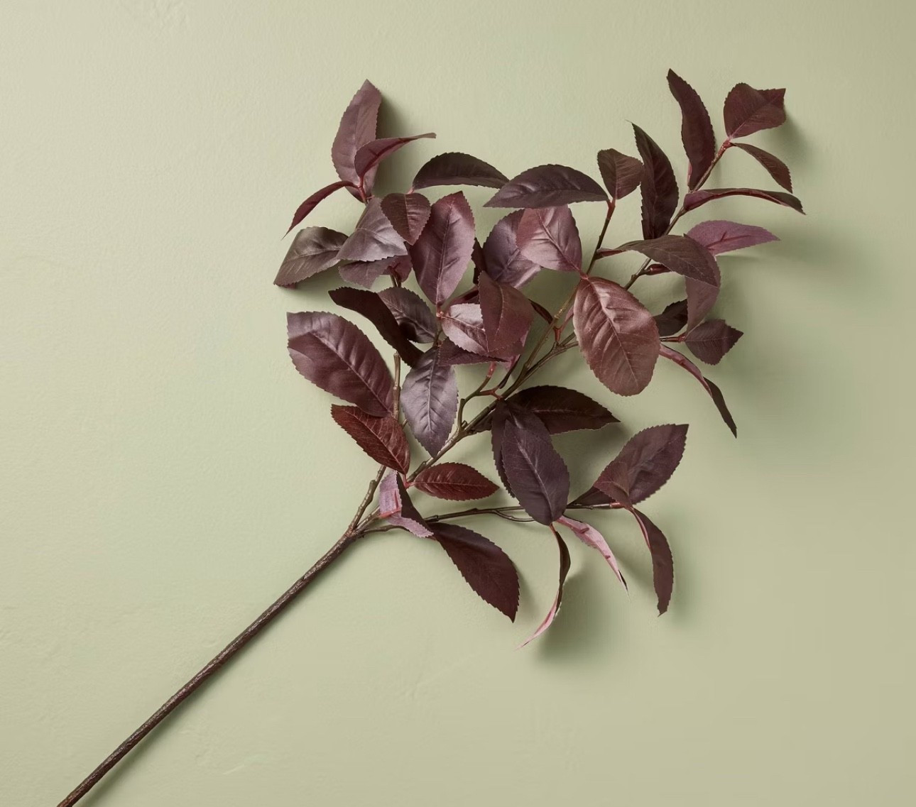 Black Plum Leaf Artificial Fall Stem - Hearth & Hand™ with Magnolia

#LTKHome #LTKSeasonal