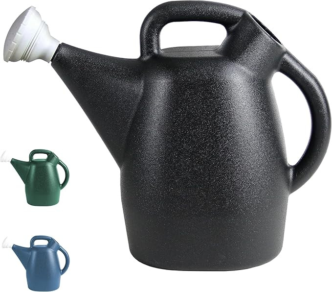 Chapin 47998 Watering Can, 2 Gallon, Indoor and Outdoor Plants, Lawn, Garden, Removable Nozzle, D... | Amazon (US)