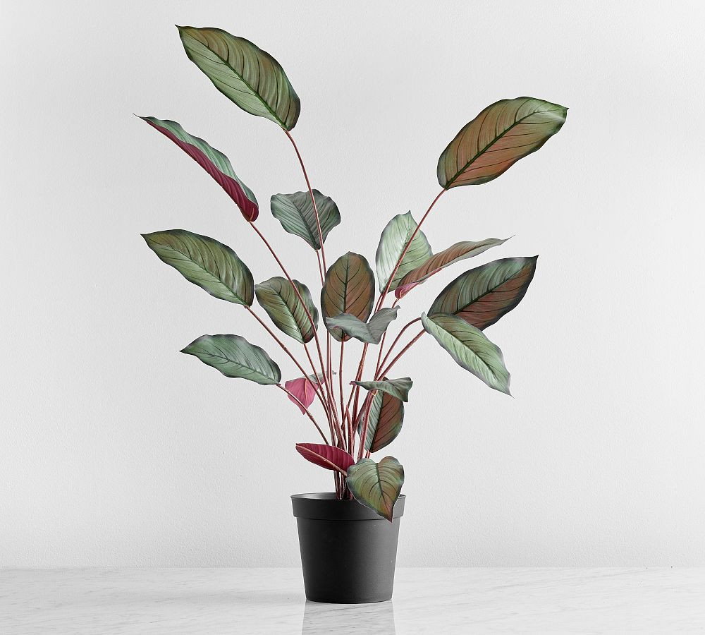 Pottery Barn | Pottery Barn (US)