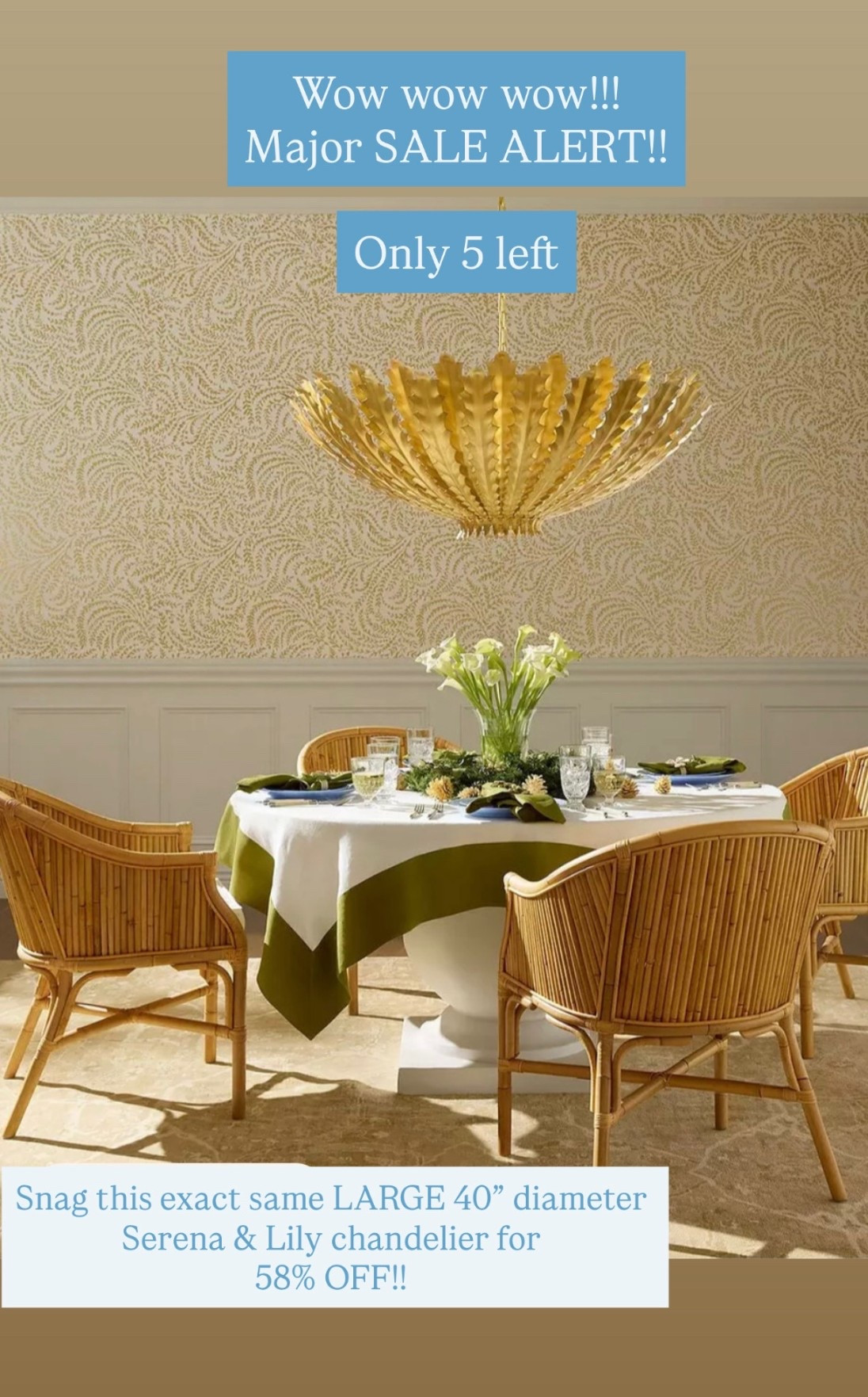 Score 58% OFF this Serena & Lily designer chandelier!! Only 5 left at this price, and it’s the same as their largest one!! 🤩 We own the smallest one in our foyer and love it!! Will sell out so fast!! 🏃🏼‍♀️🏃🏼‍♀️🏃🏼‍♀️

#LTKSaleAlert #LTKHome